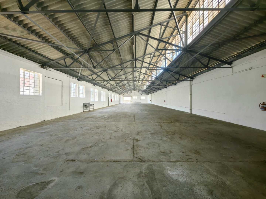 To Let commercial Property for Rent in Salt River Western Cape